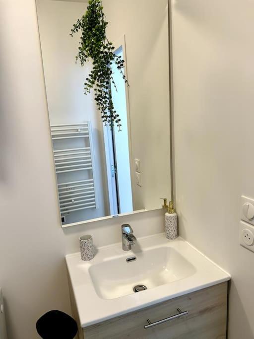 Le Romy Apartment Тулуза Екстериор снимка
